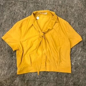 Cropped mustard tie blouse